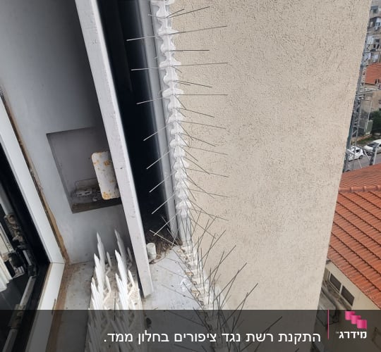 דוקרנים למניעת יונים על אדן חלון
